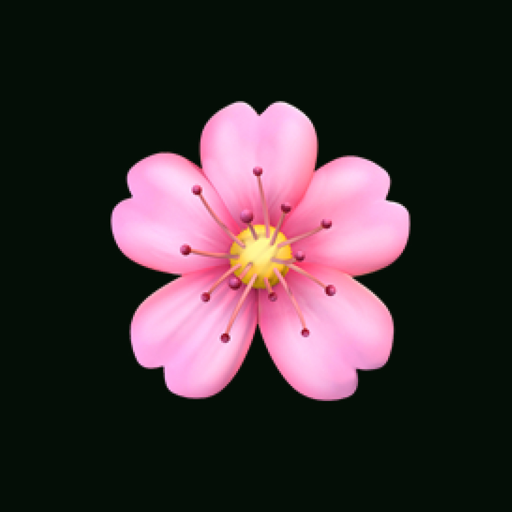 tractionary.app favicon